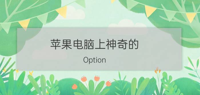 苹果电脑上神奇的 Option 键(option键是干嘛的)